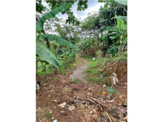 Se vende Finca  Bo. Buenos Aires en Lares 