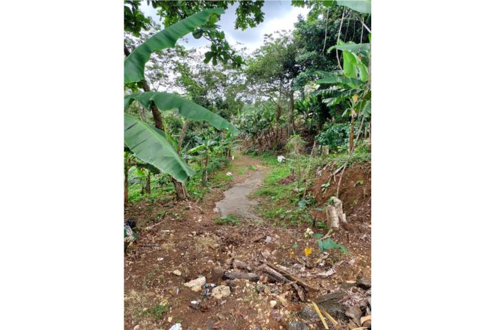 Se vende Finca  Bo. Buenos Aires en Lares