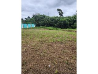 SOLAR EN HACIENDA EL PARA�SO 