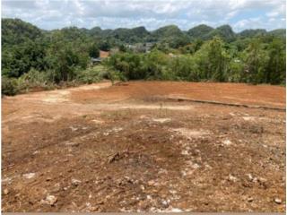FINCA - BO CAMUY ARRIBA