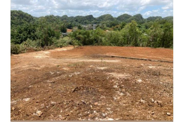 FINCA - BO CAMUY ARRIBA