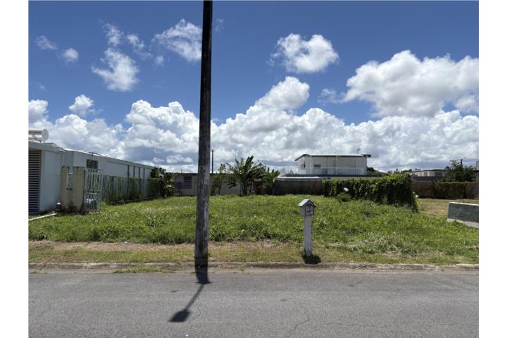 Urb. Villa Carolina 176-8 Calle 441 Carolina