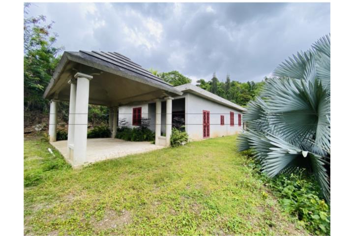 Hermosa Finca y Casa en Bo. Collores