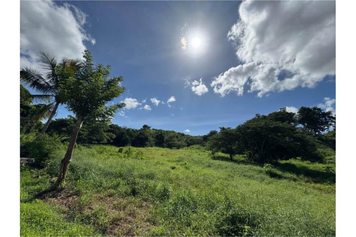 Finca 10 cuerdas Capaez Cuesta Guamá Hatillo