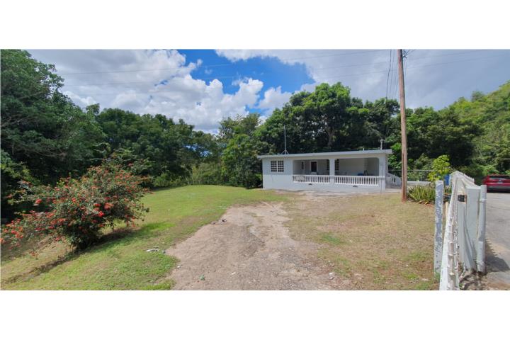 Casa de Campo en Bo. Guayabal, Juana Diaz