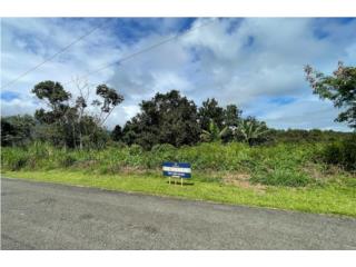 Terreno 6.25 cuerdas en Ceiba – ¡Solo $90K! 
