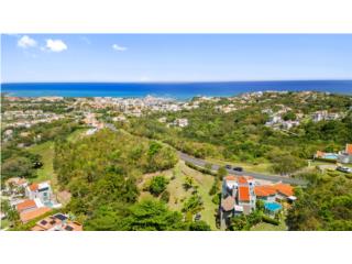 Harbour Lights Estates, Palmas Del Mar