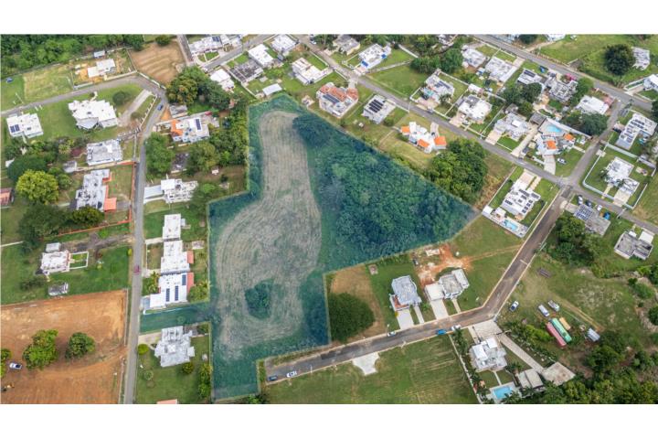 Finca de 3.85 cuerdas (15,167MC)