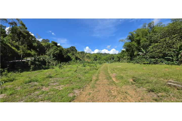Exclusive Mountain Farm Opportunity in Puerto
