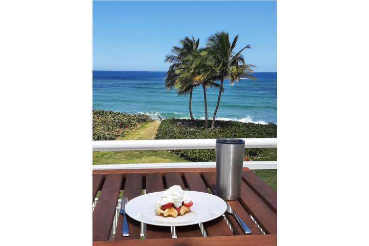 Dream Beachfront Condo, Vega Baja,
