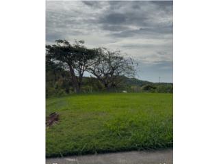 Carr 321 km 1.7 Bo Santa Rosa en Lajas 