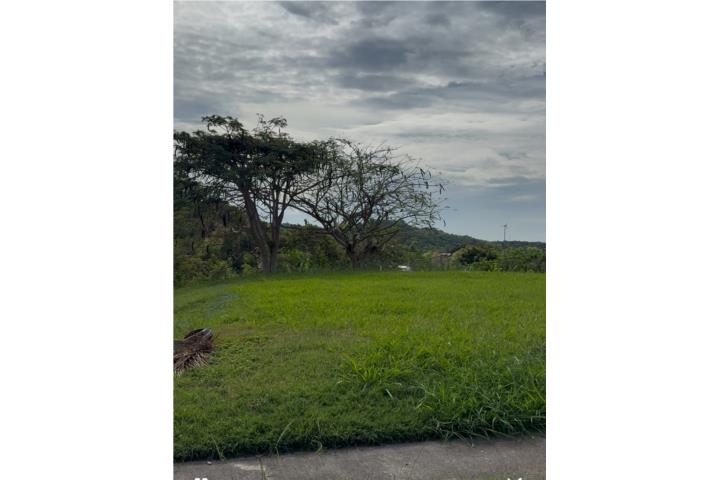 Carr 321 km 1.7 Bo Santa Rosa en Lajas