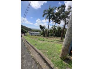 SOLAR NAGUABO MARINA 60 000