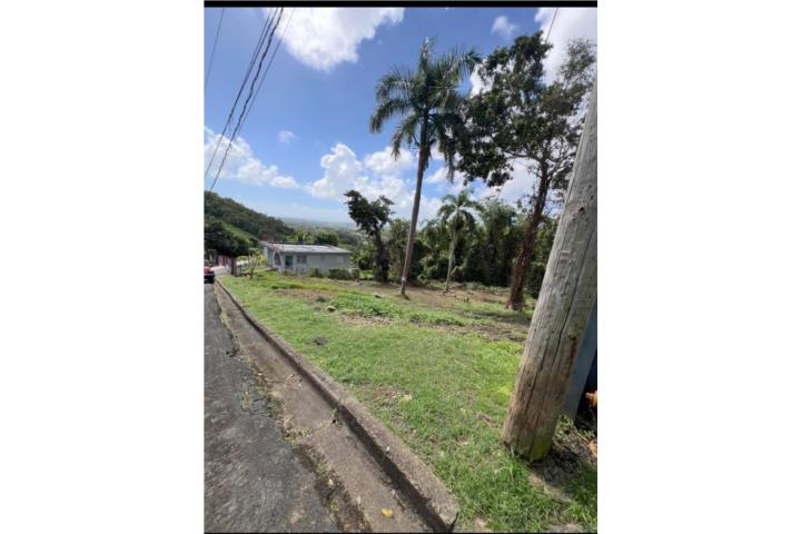 SOLAR NAGUABO MARINA 60 000