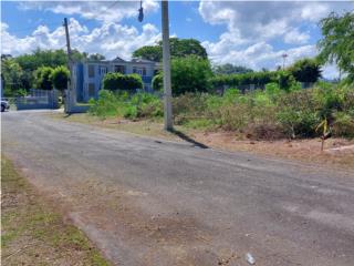 Sola1200 mts en Hato Arriba  Arecibo