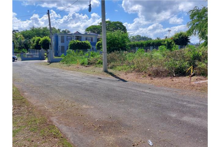 Sola1200 mts en Hato Arriba  Arecibo