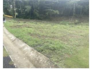Venta 3 cuerdas de terreno 