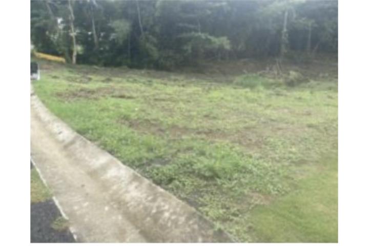 Venta 3 cuerdas de terreno