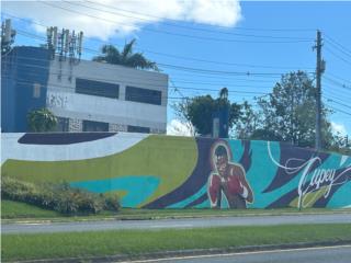 Excelente localizacion en la PR-199