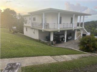 Bo.  S�bana grande de Utuado 