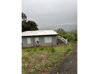 Beatriz Puerto Rico