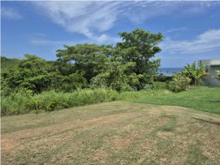 Solar, Camuy