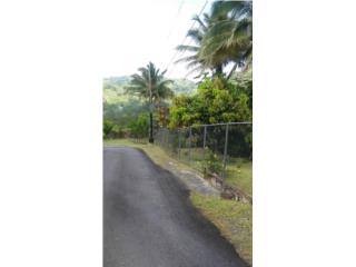 30 Cuerdas Barrio San Salvador Caguas
