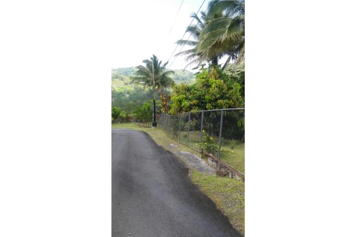 30 Cuerdas Barrio San Salvador Caguas