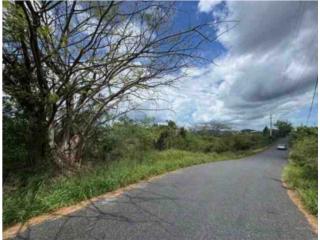 SOLAR 6.41 CUERDAS URB VILLAS DE RIO CA�AS