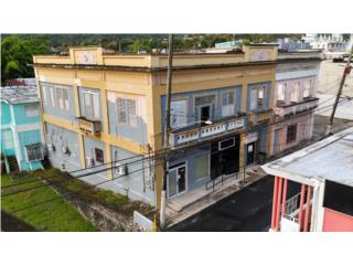 EDIFICIO COMERCIAL GENERANDO INGRESOS