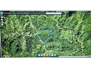 Finca en Bo Sierra Alta, 12.0657 cuerdas