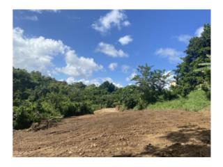 HUMACAO-Buenavista