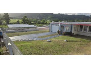 Campo