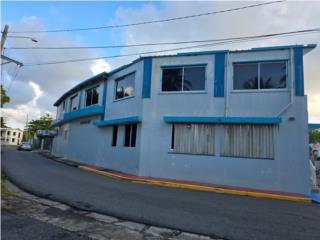 Se vende edificio de dos Nives con dos casa 