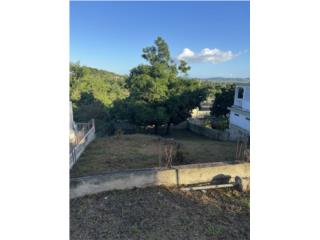 Terreno en Alturas de Lajas