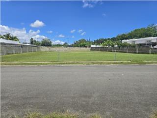 Terreno en Woodbridge park toa alta