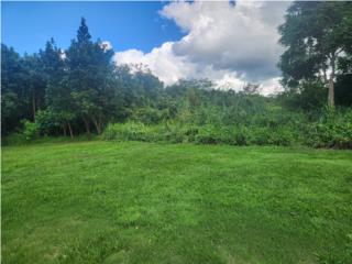 Venta finca 11.2 cuerdas Cabo Rojo