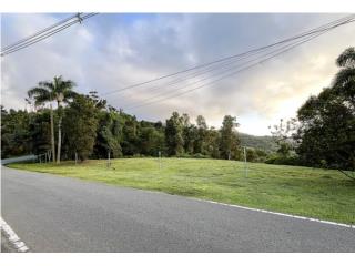 HERMOSAS VISTAS A MONTA�AS, COSTA, Y BOSQUE