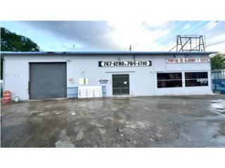 Galeria