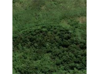 Terreno en Venta - Fajardo