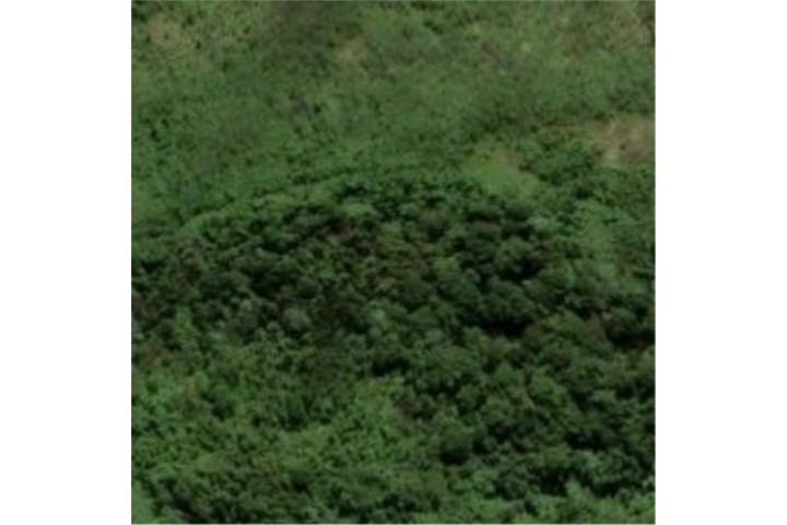 Terreno en Venta - Fajardo