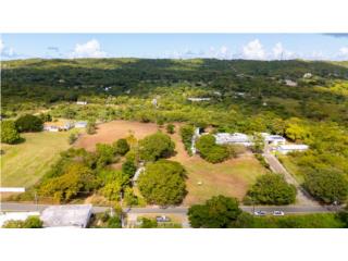 D8 Remanente Puerto Real, Vqs 3.31 acre $275k