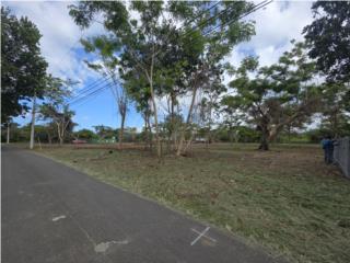 Finca 2.26 cuerdas Islote