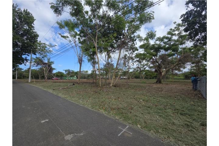 Finca 2.26 cuerdas Islote