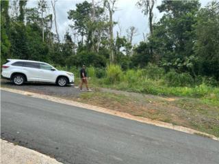 Finca 3 cuerdas Bo Guaraguao guaynabo