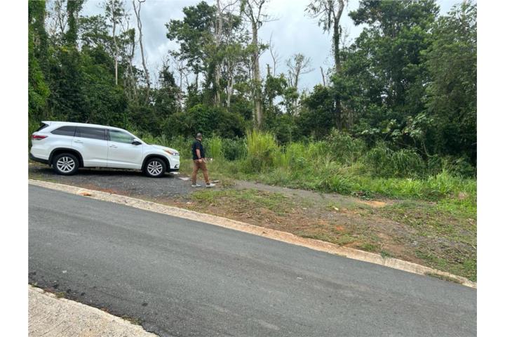 Finca 3 cuerdas Bo Guaraguao guaynabo