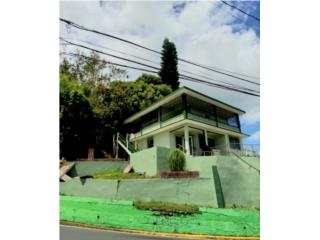 Pueblo calle principal 
