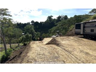 3 Tyni House Investment 