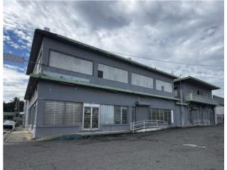 Galeria
