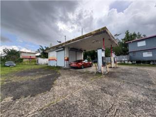 Puerto Rico - Bienes Raices VentaVENTA COMERCIAL, LAS MARIA BO MARAVILLAS Puerto Rico